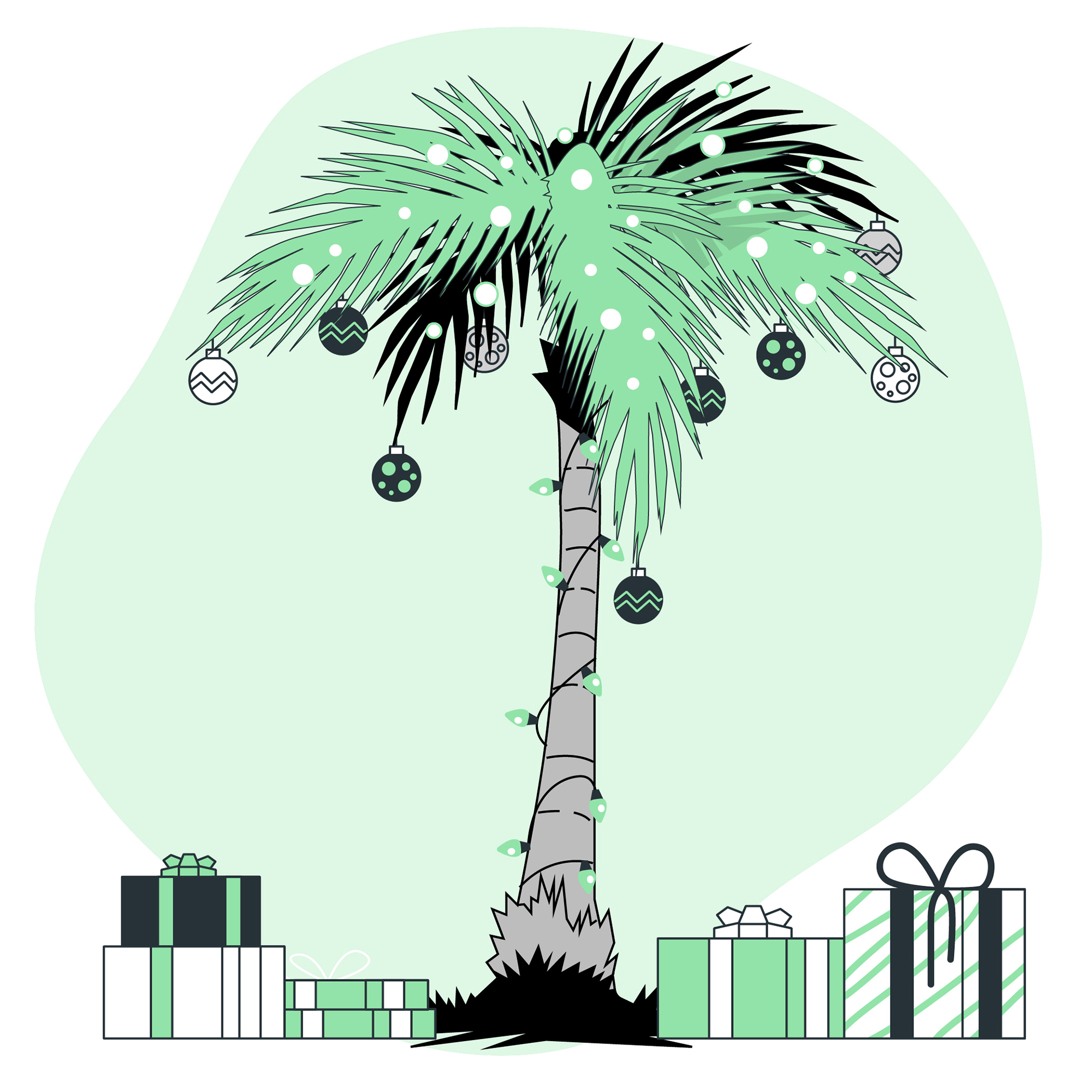 Read more about the article Christmas Palm Tree Beauty Of Nature